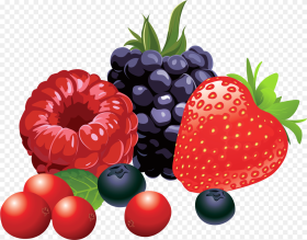 Berry Fruit Clip Art Clipart Fruit Png Transparent