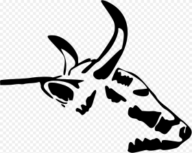 Cow Head Drawing at Cow Head Hd Png