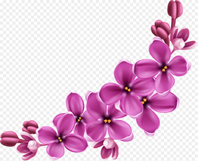 Background Flowers Png