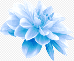 Collection of Free Flower Transpa Blue on Ubisafe