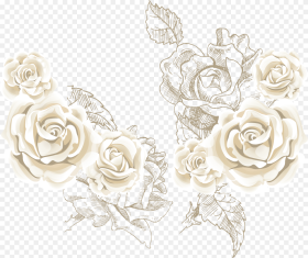 Beach Rose Flower Clip Art White Roses