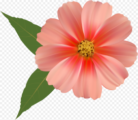 Flowers Png Images  Background Flower Png