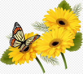 Yellow Gerberas With Butterfly Png Clipart Butterfly On