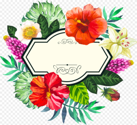 Tropical Flower Border Hd Png
