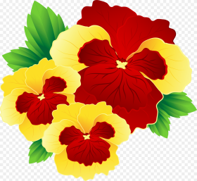 Red and Yellow Flowers Png  Red