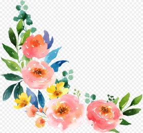 Watercolor Flowers Paper Painting Watercolour Free Water Paint