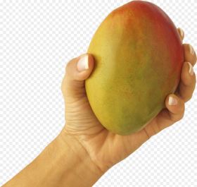 Mango in Hand Png Image if Your Boyfriend