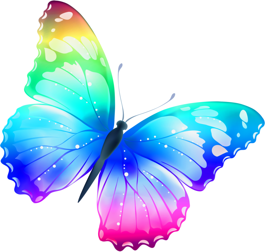colores borboletas butterfly png