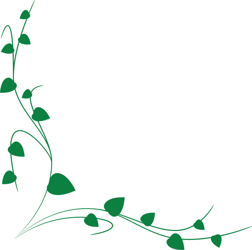 vines png green branch