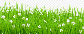 Png Stock Grass Background Clipart  Grass Flower