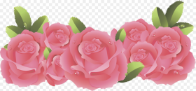 Png Beautiful Flowers Frame Flower Pink Border