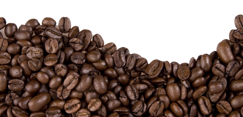 coffee beans png hd