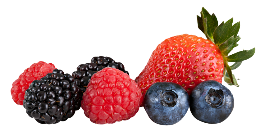 Berries png HD clipart
