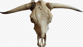 Cattle Goat Horn Bone Transparent Cow Skull Png