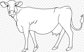 Clipart Cow Cow Indian Dairy Cow Hd Png
