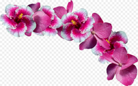 Freetoedit Flowers Crown Remixit Pink Flower Crown Png