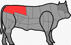 Beef Vector Cow Indian Paleron De Boeuf Quelle