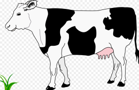 Black and White Image of Cow Hd Png