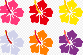 Tropical Flowers Png Hawaiian Flowers Printable Png