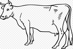 Cattle Clip Art White Cow Outline Clipart Hd