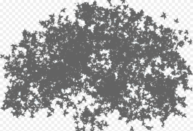 Top Tree Png Available in Different Size Trees