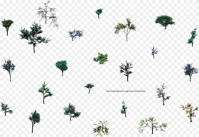 Hjm Small Trees Roots  Alpha Tree Isometric