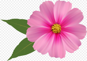 Png Bbcpersian Collections Free  Background Flower Png