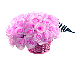 Pink Rose flower Rose Hd Wallpaper  Pink Roses png Basket