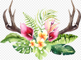 Floral Antler Clipart Watercolor Tropical Flowers Png
