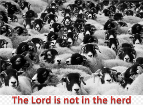 Lord and the Herd Does Counting Sheep Help