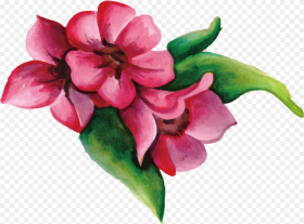 Pink Flowers Png  Painted Pink Flower Png