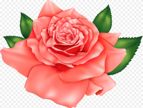 Orange Rose Png Clipart Image Rose Clipart Flowers