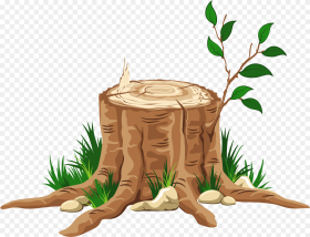 Partial Tree Trunk Free Png Tree Stump Transparent