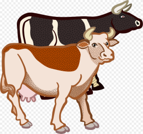 Cows Coloured Big Image Two Cows Clipart Hd