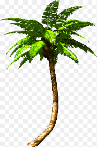 Palm Tree Png Animated Rotate Resize Tool Trees
