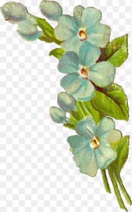 Antique Blue Flower Png