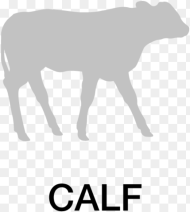 Calf Icon Calf Hd Png Download