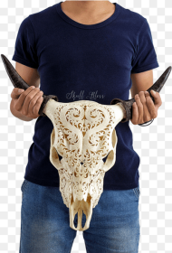 Carved Cow Skull Skull Hd Png Download