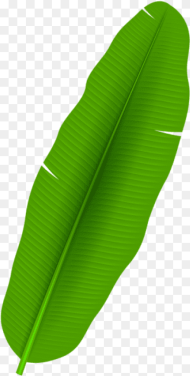 Palm Leaf Png Banana Leaf Clip Art Transparent