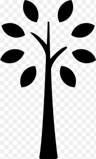 Tree Icon White Clipart Tree Icon Hd Png