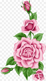 Flower Card With Colorful Roses Png Pinterest Flower