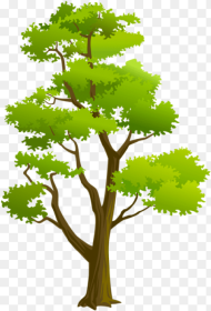Free Png Download Tree Png Images Background