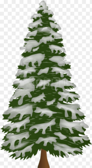 Free Png Pine Tree With Snow Png