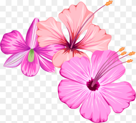 Small Flower Design Png