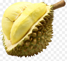 Durian Ripe Mango Clipart Transparent Background Durian Fruit