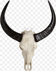 Horn Antelope Animal Figure Cow Goat Animal Skull
