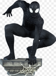 Spider Man vs Spider Man Black Suit Hd