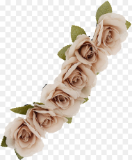 Flower Crown Png and  Image Beige Flower