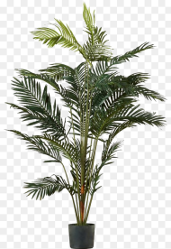 Palm Tree Png Image Transparent Palm Tree Pot