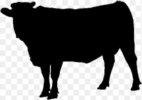 Cow Animal Png Hd Transparent Wallpaper Animal Png